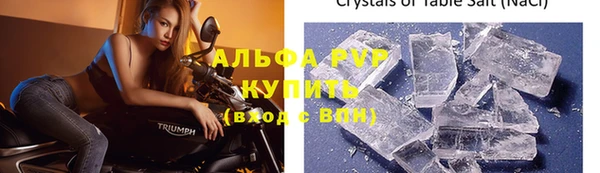эйфоретик Кукмор